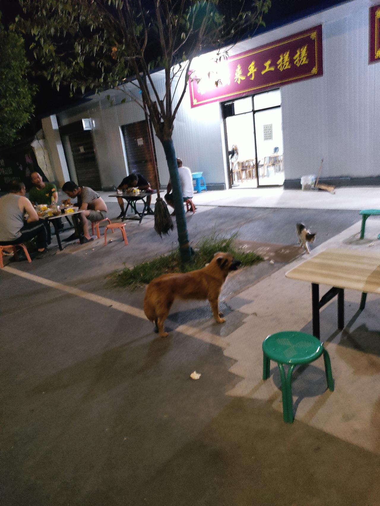 ​2. 人间烟火，星月相伴，寻常夜晚，自有治愈人心的美好。