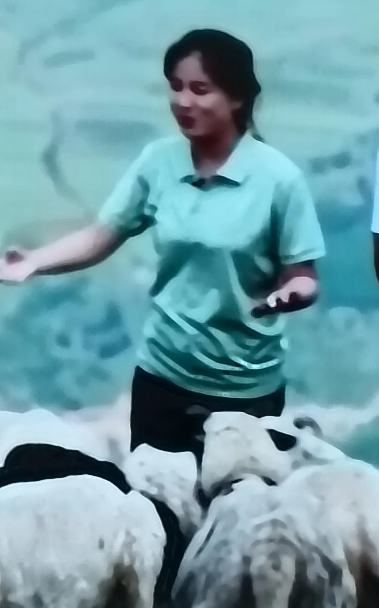 小时候放羊虽说累，但也乐在其中。在放羊的过程中，放羊娃们有机会了解各种有趣的植物