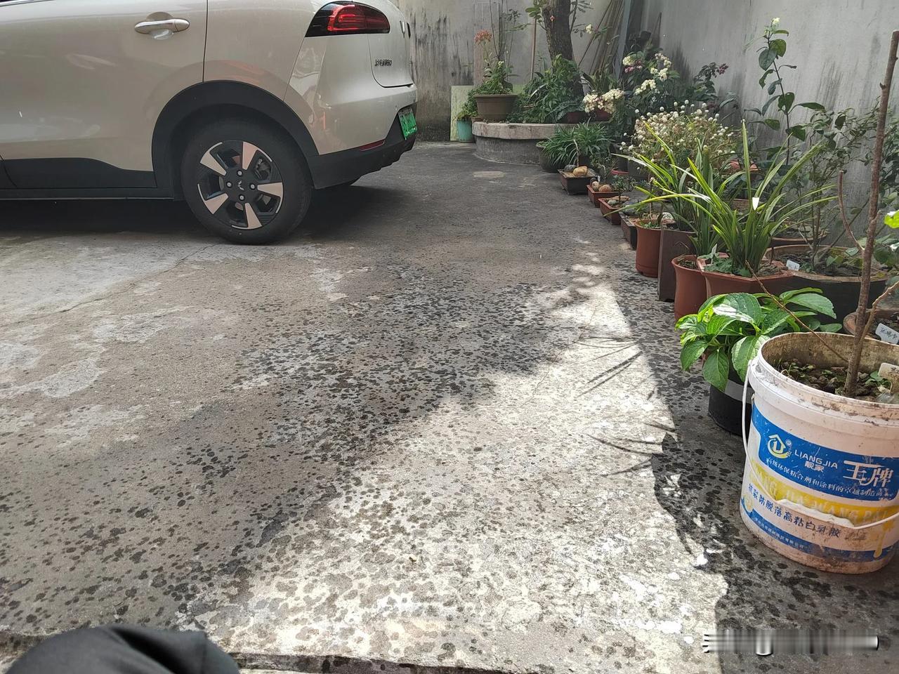 这是下太阳雨了！

一边太阳火辣辣，一边雨点豆大豆大。比豆大多多！

这波什么天