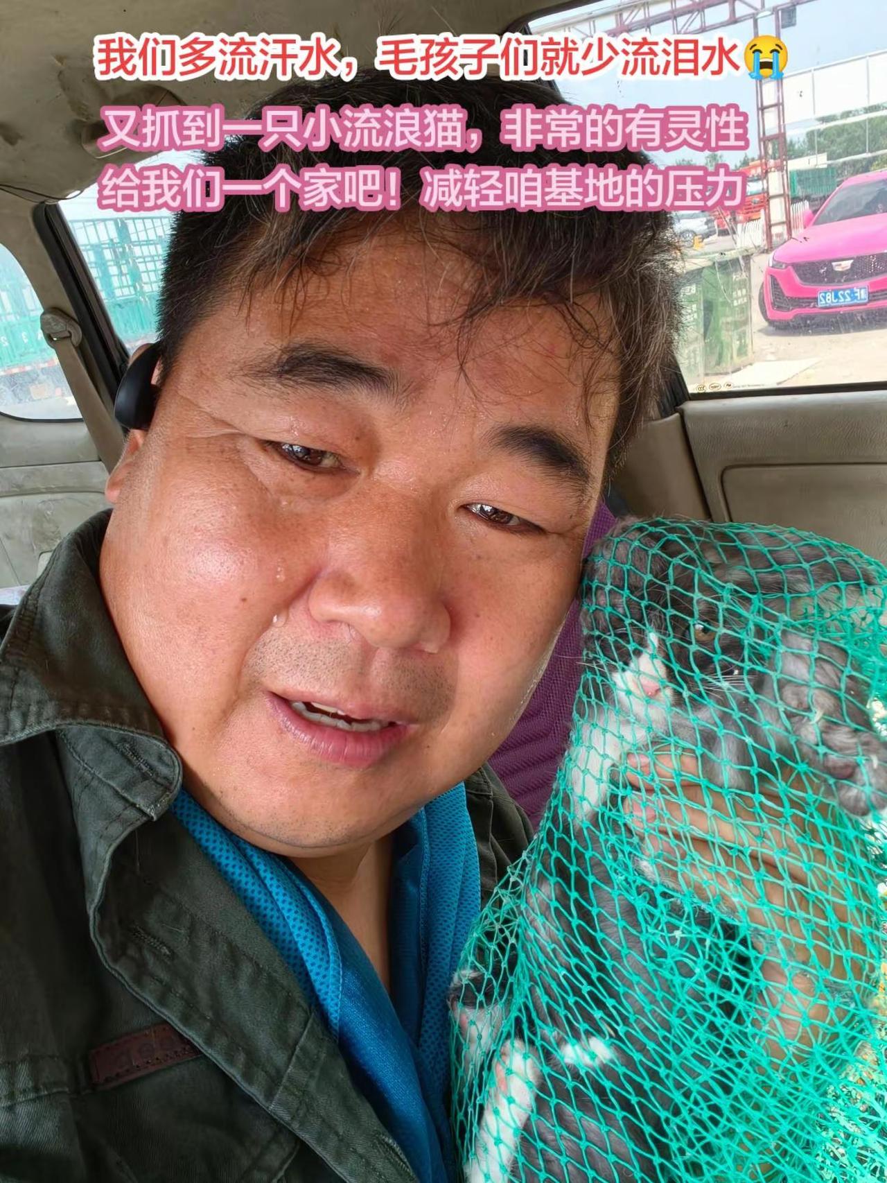 又是一个大热天，比较顺利的抓到一只小区流浪小猫，性格很好的，不伸爪子，不挠人！给