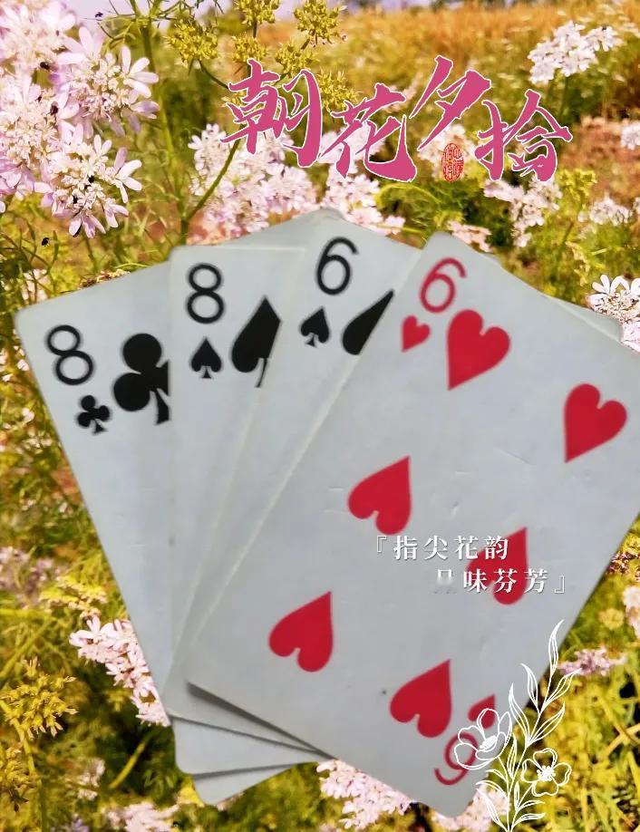 数字对决：24点，谁与争锋？