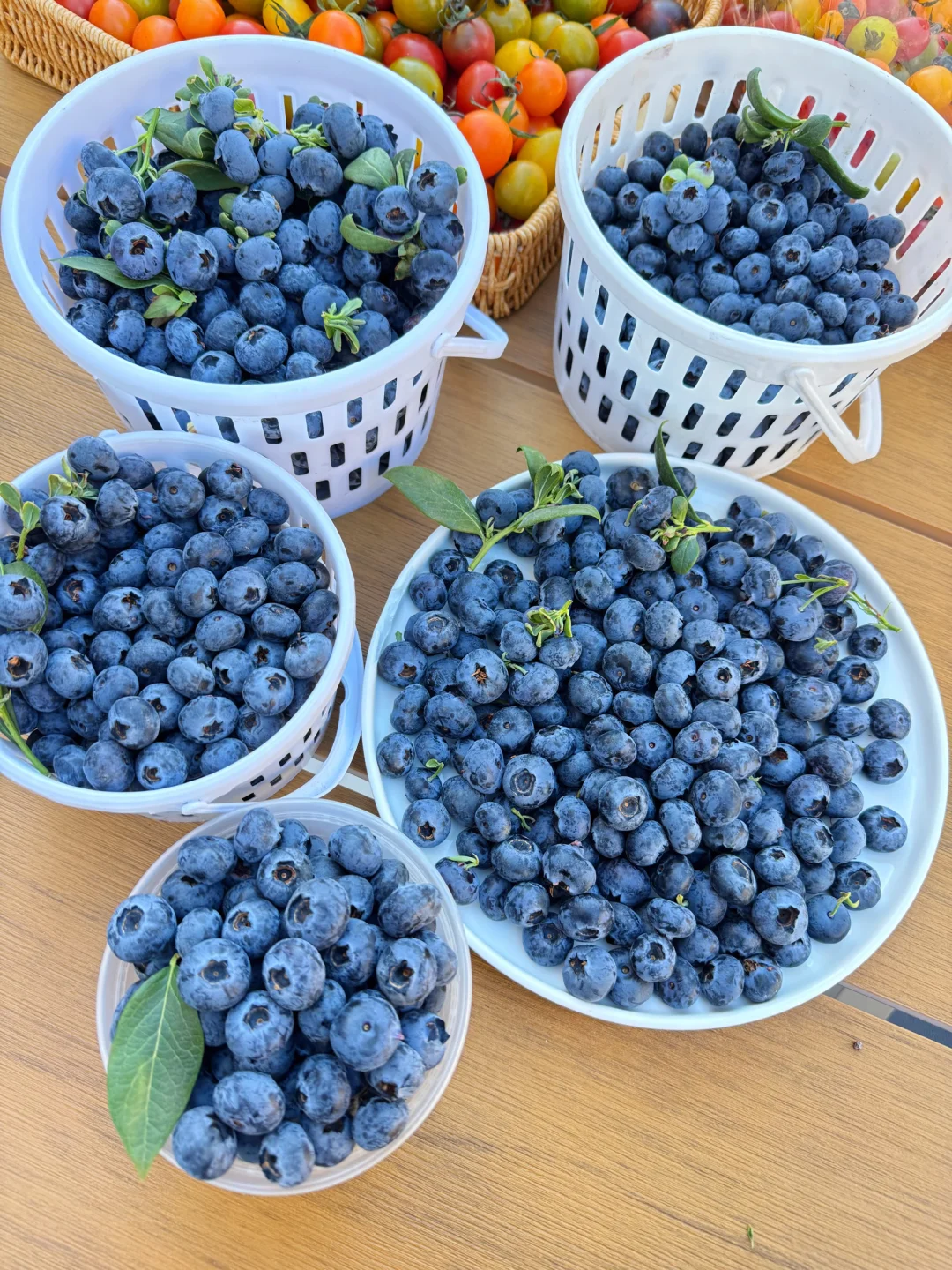 蓝莓吃多了会怎样？