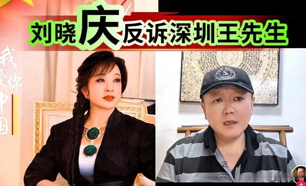 刘晓庆反诉深圳的王先生侵犯隐私权和名誉权。
接到电话王先生蒙圈了，他原本打赢了与
