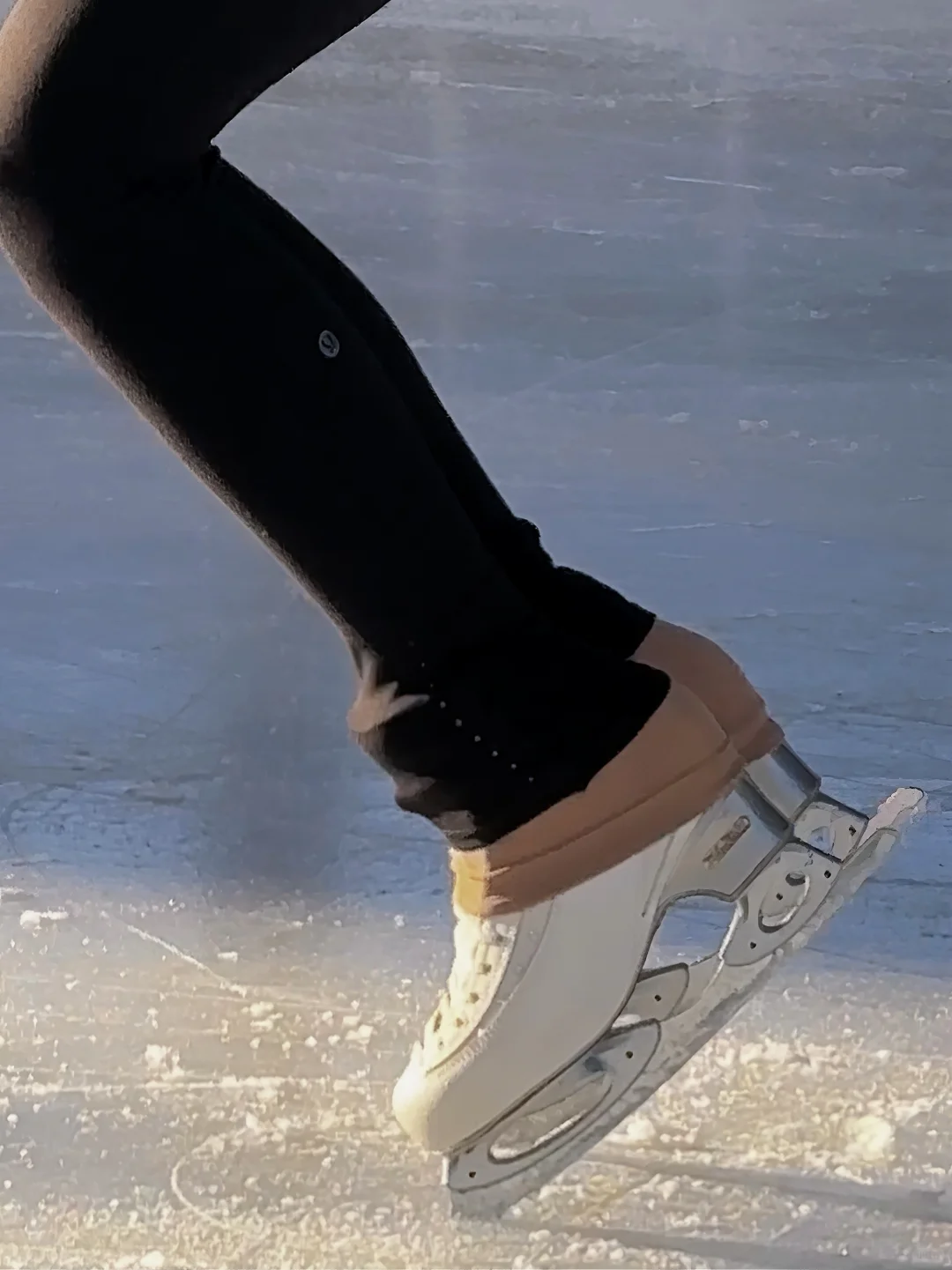 💕Ice Fly🤍