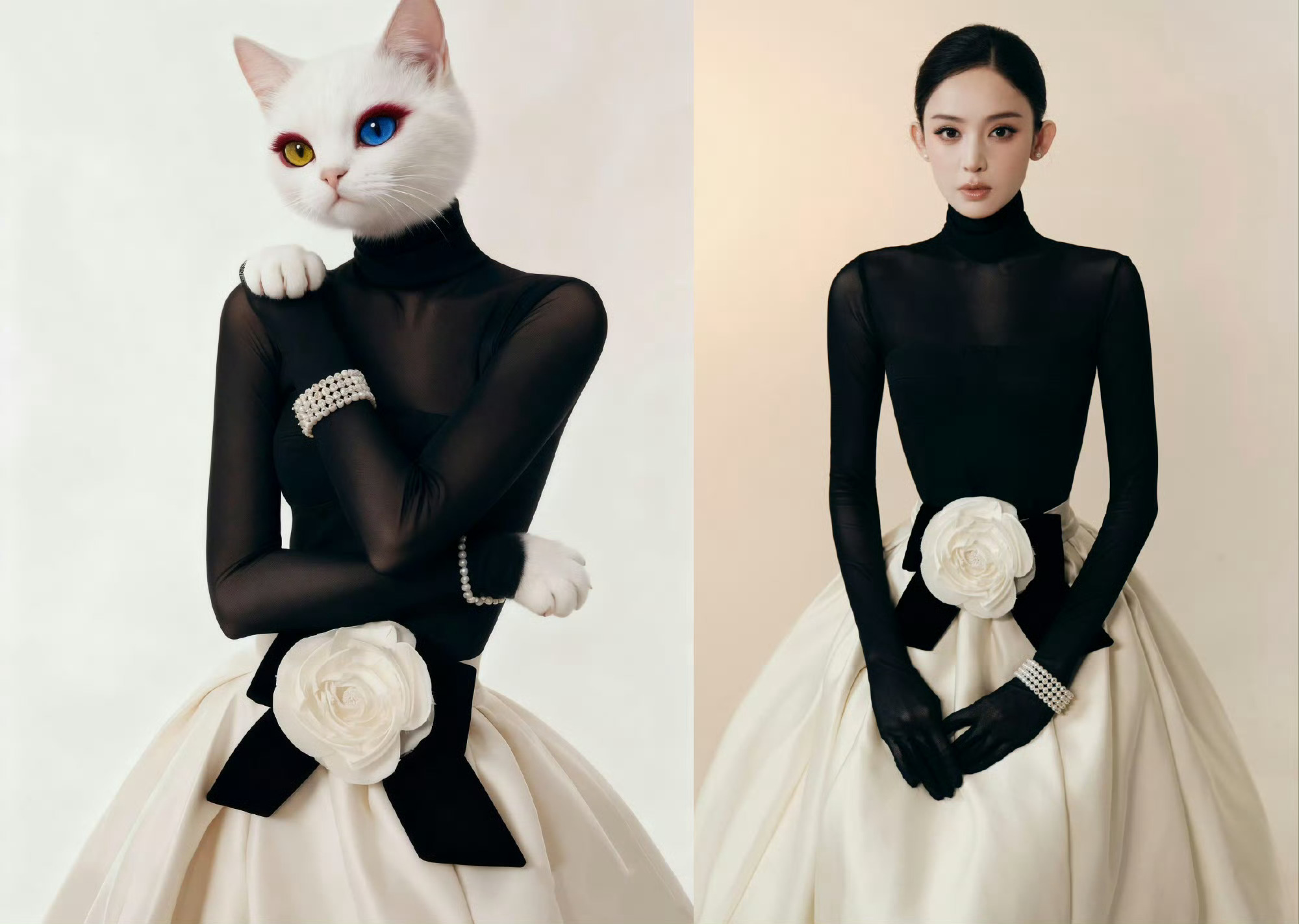 女喵星们的VOGUE女明星造型猫猫穿上娜扎同款服饰也太可爱了吧，好高贵的一只喵[