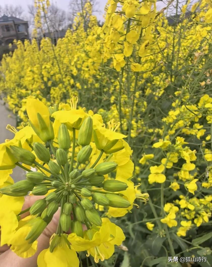 檐角的雨滴连成细线，顺着青瓦的弧度垂落，像被时光拉长的银链。
 

撑着伞站在巷