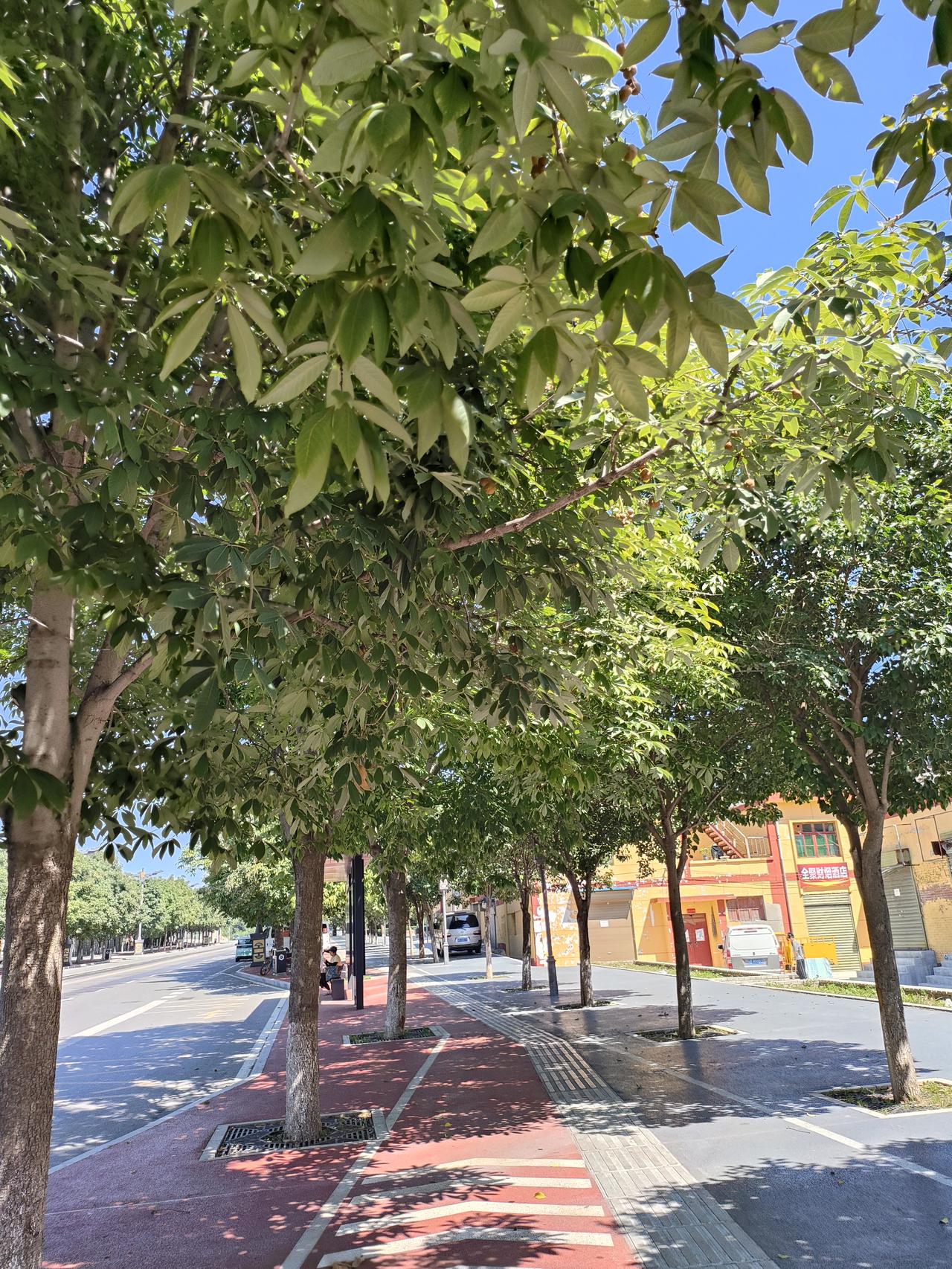 1. 小城街道绿树成荫，阳光透过枝叶洒落，走在树荫下，夏日也多了几分清凉。
​