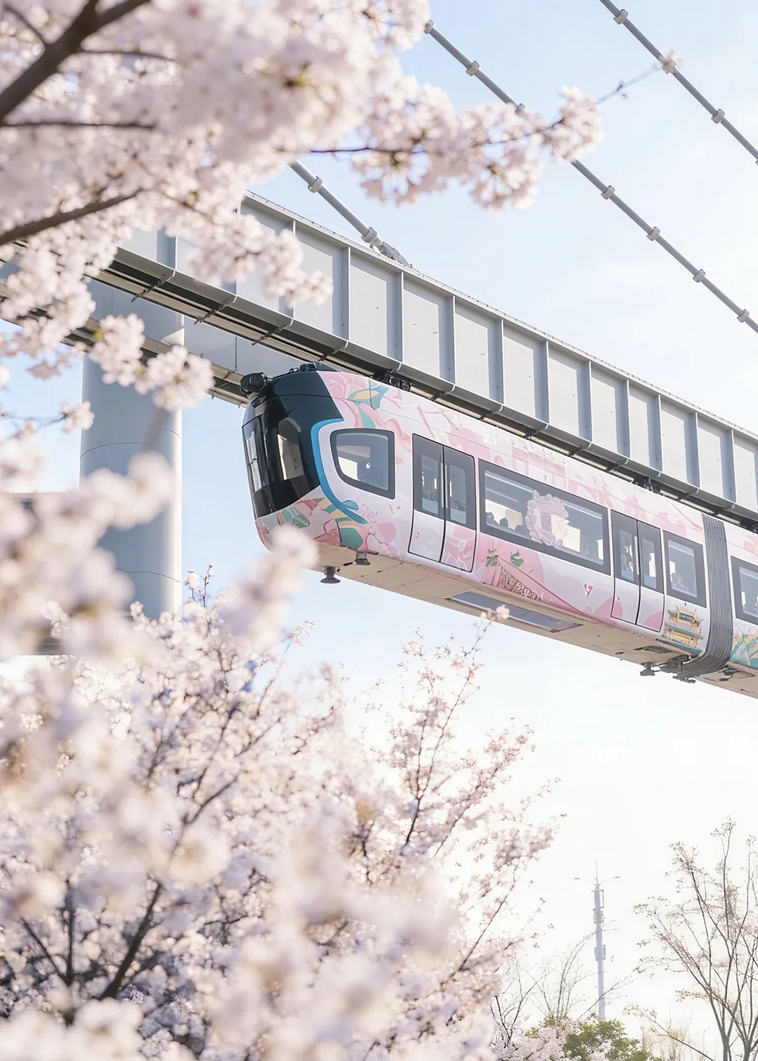 可惜你不在武汉！不知道樱花落日空轨多浪漫！