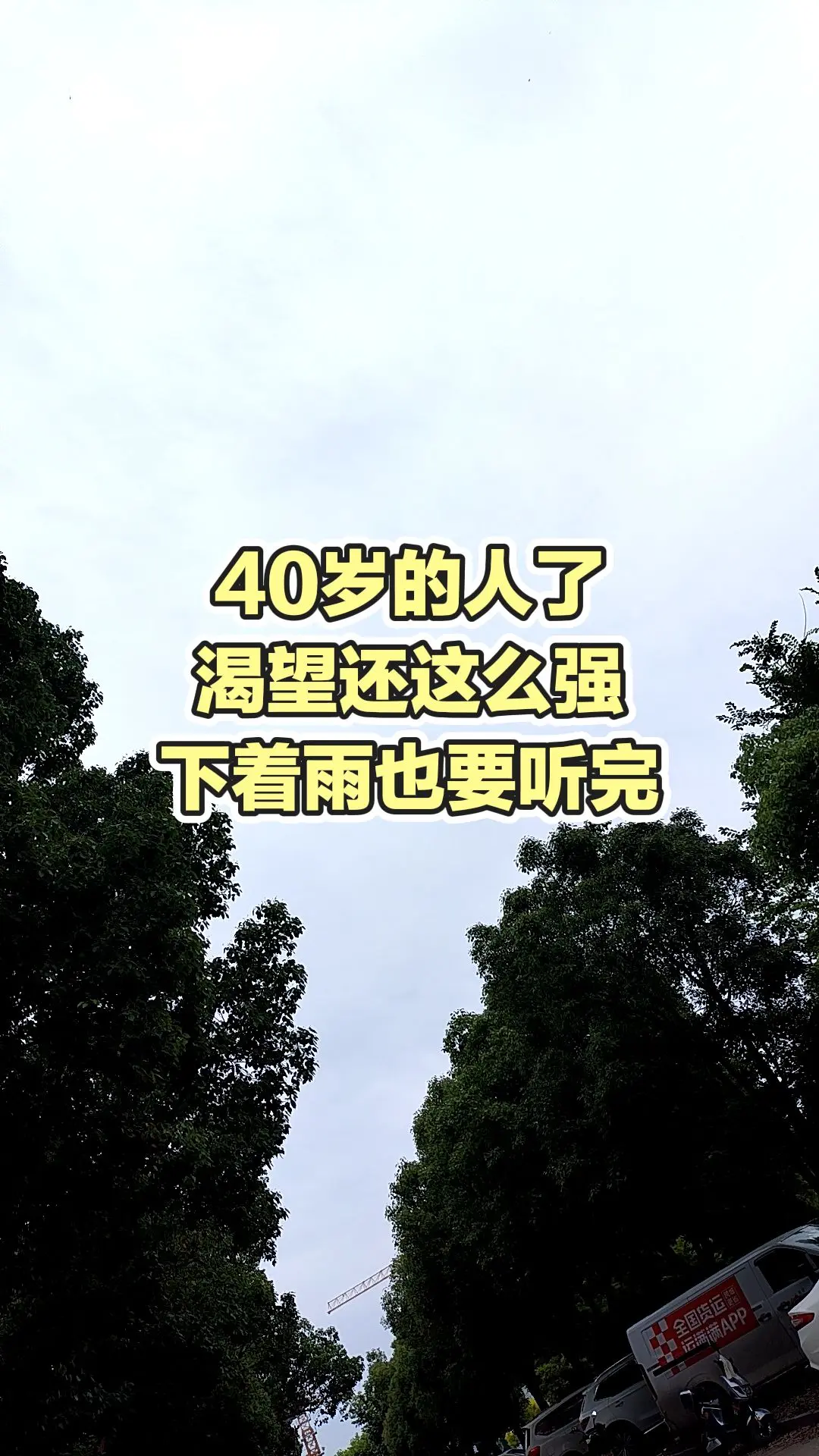 每日分享