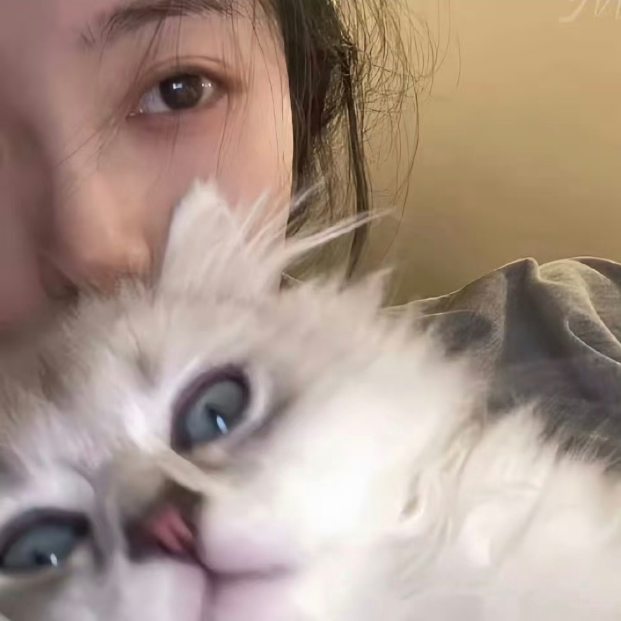 高级感头像分享 