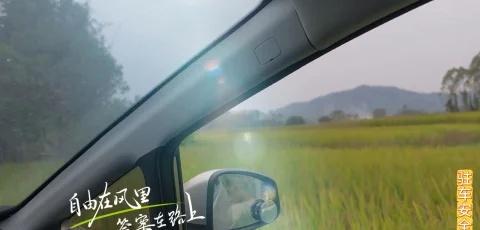 我眼中的秋天 江门 开平 月山 稻谷 秋收 田野 让我看一眼你的秋天
我眼中的秋