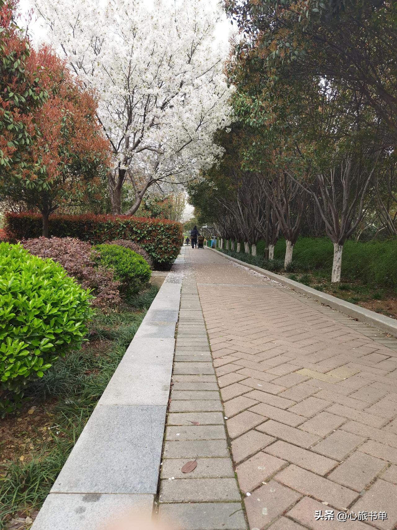 那是必须的！头条自开通后到今天6年了，我没中断过。挣钱不多，我就是奔着爱好、兴趣