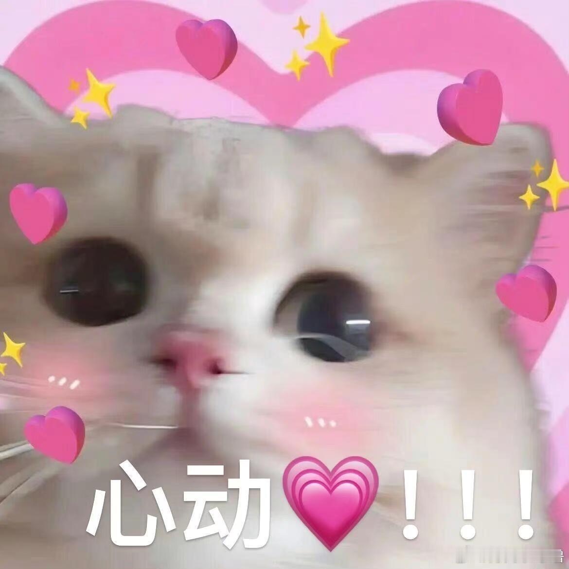 明天又要幸福了  接收2026年白鹿一月行程图听白鹿浙江卫视跨年晚会两首歌的演唱