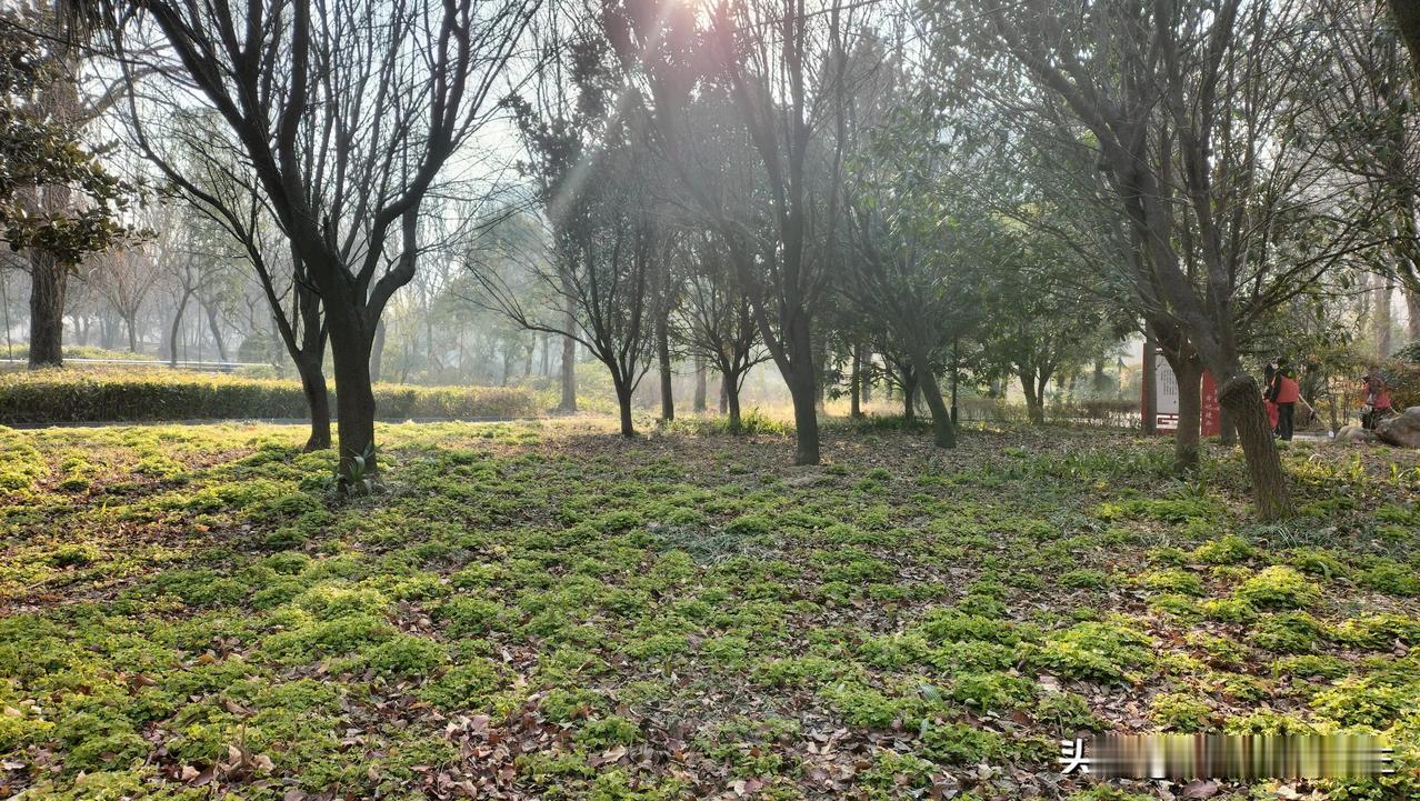 今天是大年初六，算算时间，年假即将结束，可多人很快又要重新回到工作岗位了。

老