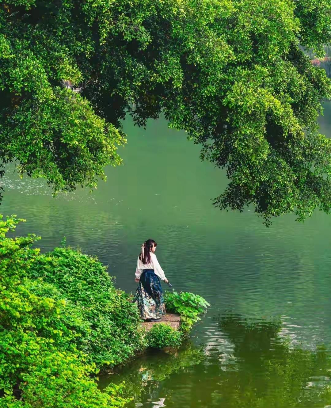 看别人拍的风景