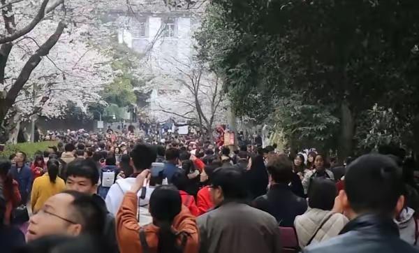作为公共资源的大学，老百姓想进去看一看，为什么就这么难？
        暑假来