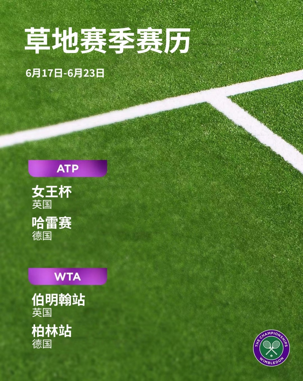 本周草地赛历来了🌱📆和小温一起关注起来吧😉#温网2024##追求卓越# ​