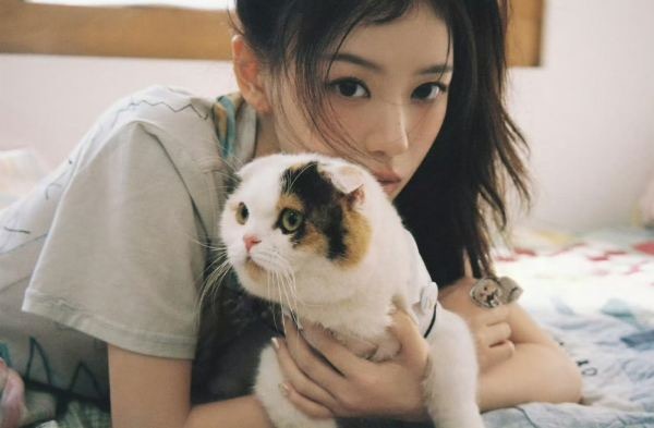 如何看待illit用折耳猫拍照 