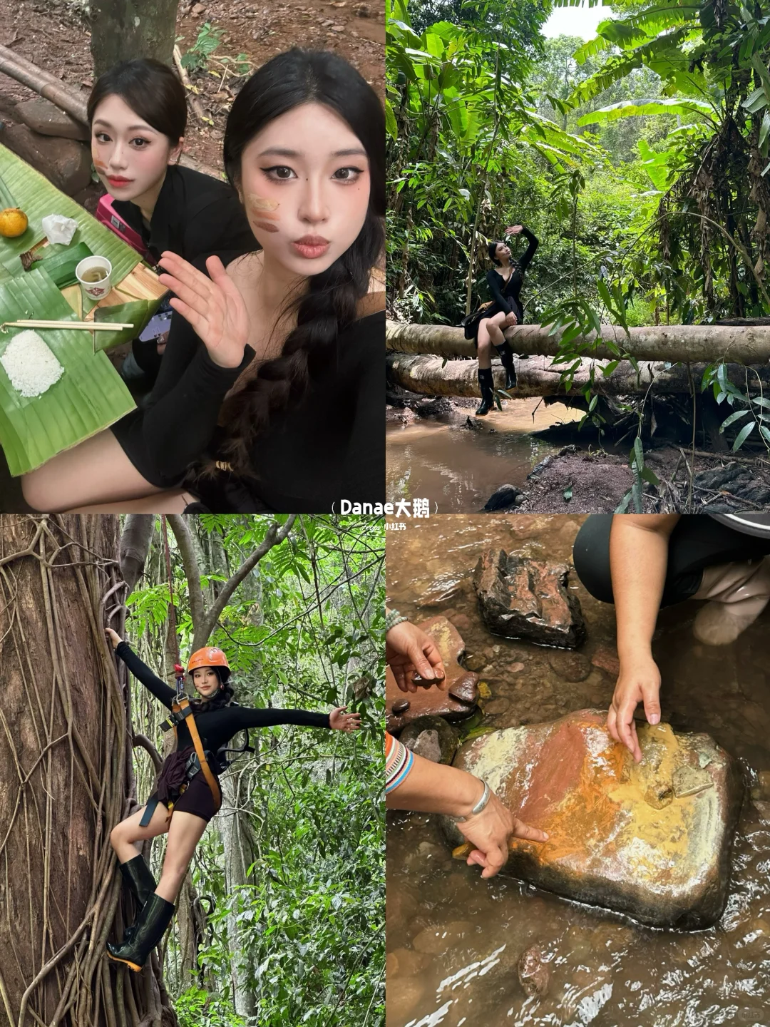 基诺山雨林徒步超全攻略🌴与世界失联的5h..
