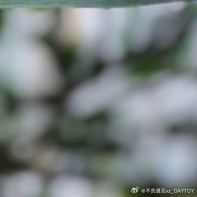 崇尚和諧之境界，團結共融，讓社會充滿溫情與包容，處處其樂融融。 