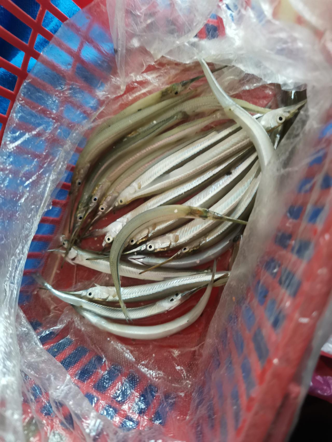 分享一张你钓鱼时的照片