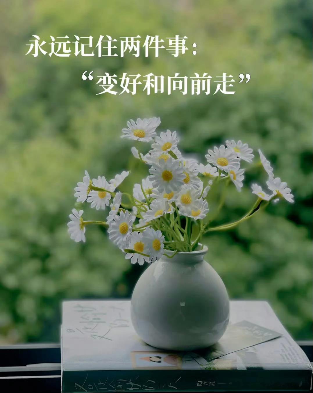 “戒掉过度责任感，自私一点，别被责任与道德绑架。”“ 世界上最昂贵的税  叫“认