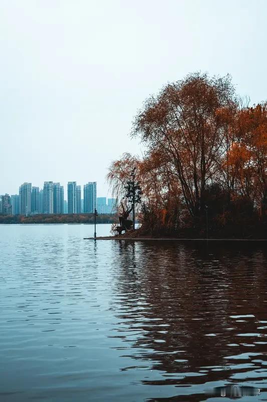 美丽湖畔的风景简直绝了！之前去了个湖边，湖水清澈得像块巨大的水晶，能清楚看到湖底