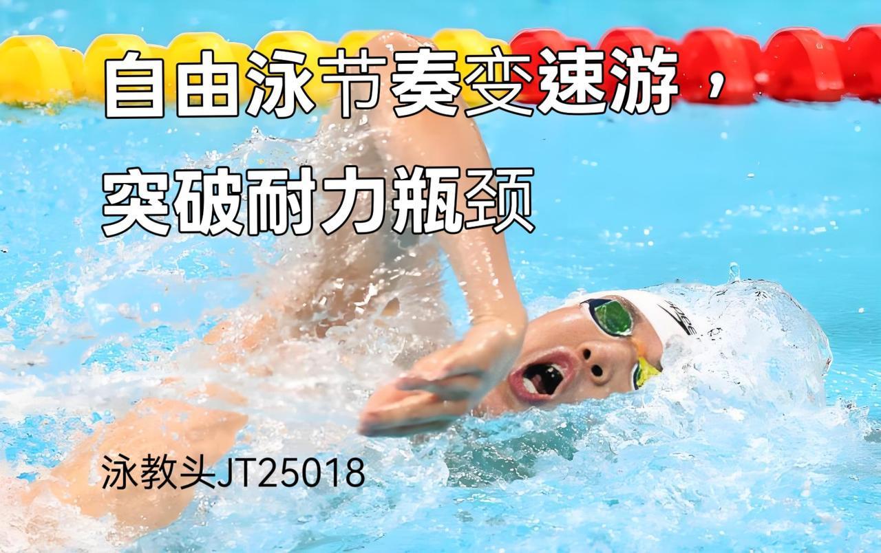 泳教头 | 泳讲堂：自由泳节奏变速游，突破耐力瓶颈
 
很多泳友游自由泳时，长距