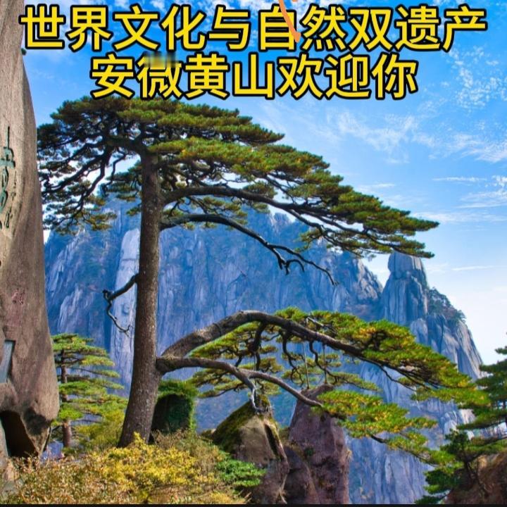 60项 世界遗产，数量位居世界前列。
世界文化遗产41项：最具代表性的是长城、明