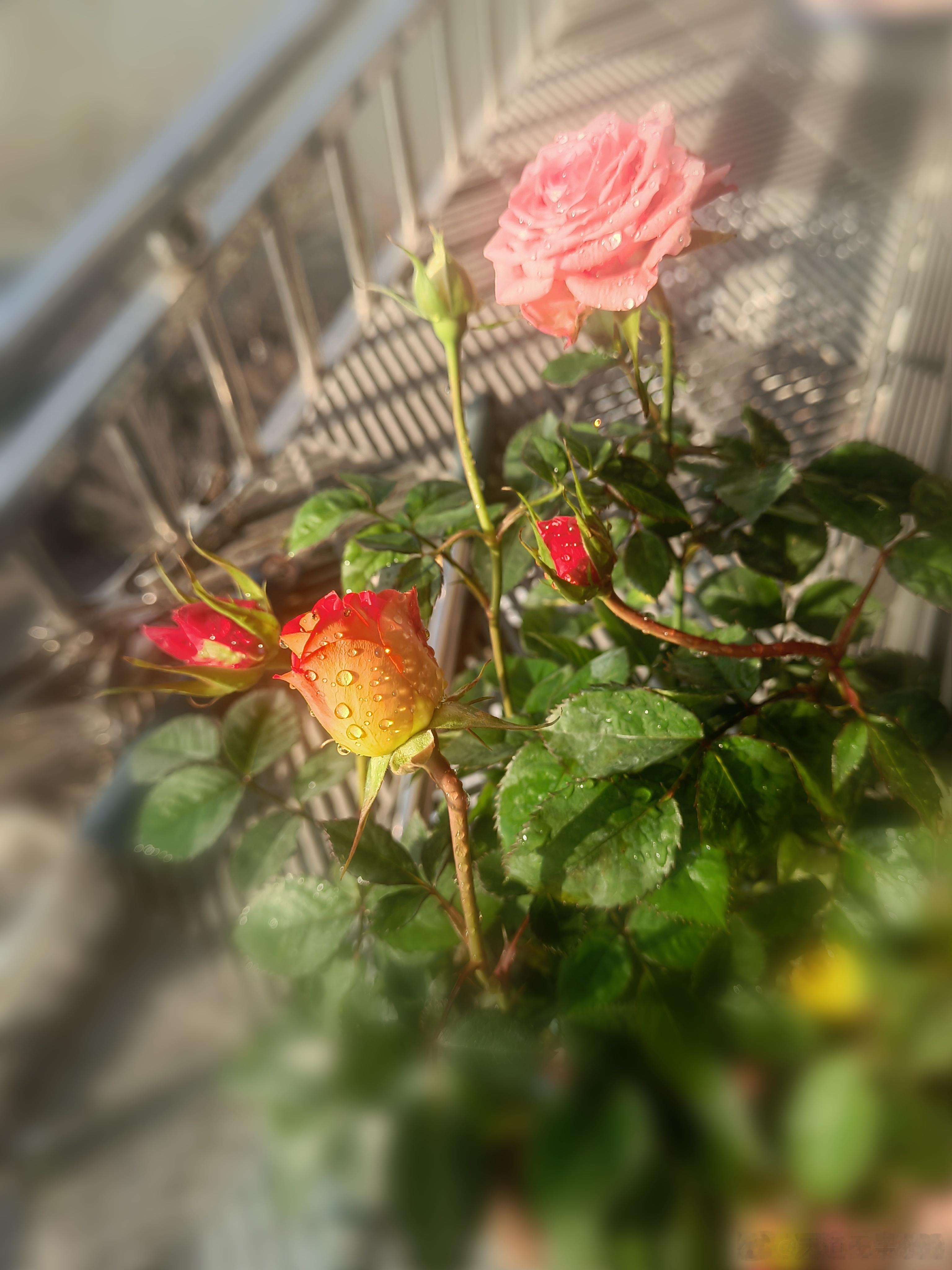 我们的世界是全息世界。善易者不占，还有一层意思是，不需要刻意占卜起卦，答案就在身