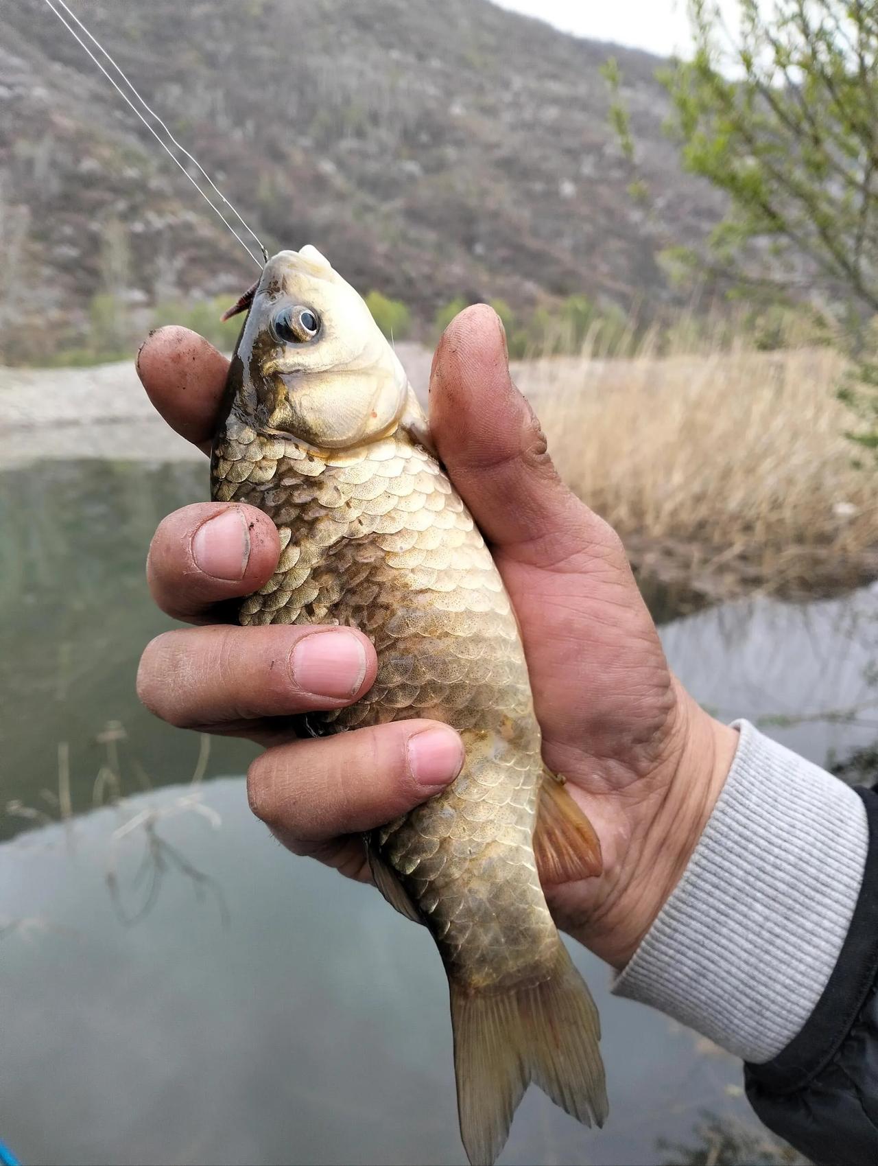 #春日生活打卡季#钓鱼赏花，这不比打游戏看直播有趣？