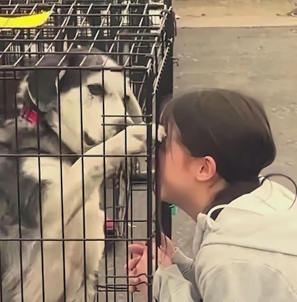 太有缘了！女子在狗市上找到了自己失踪两年的狗狗，女子情绪激动的抓着笼子哭着说“我