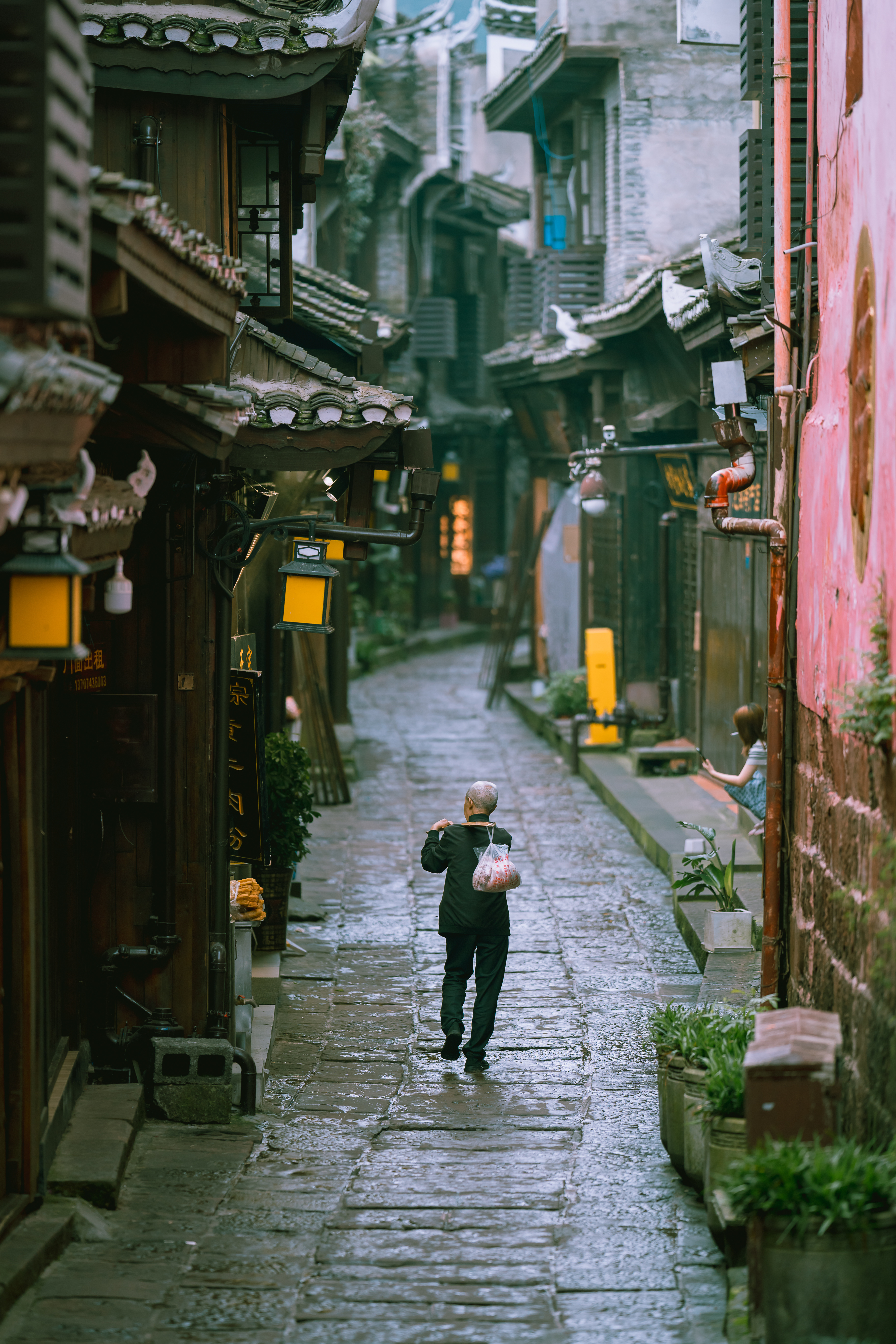 莫奈星晚，凤凰迎晖 