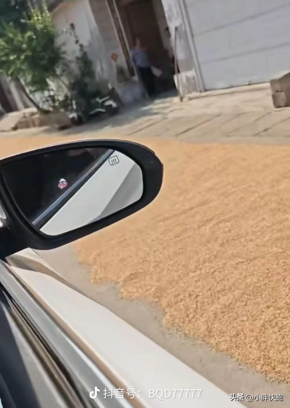 现实中大多数人电视剧看多了，都觉得自己与众不同能赚大钱，都不想上班，真实情况大多