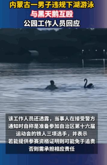 太离谱了！内蒙古包头，一名男子光天化日之下，竟在公园的湖里和一只黑天鹅上演了一场