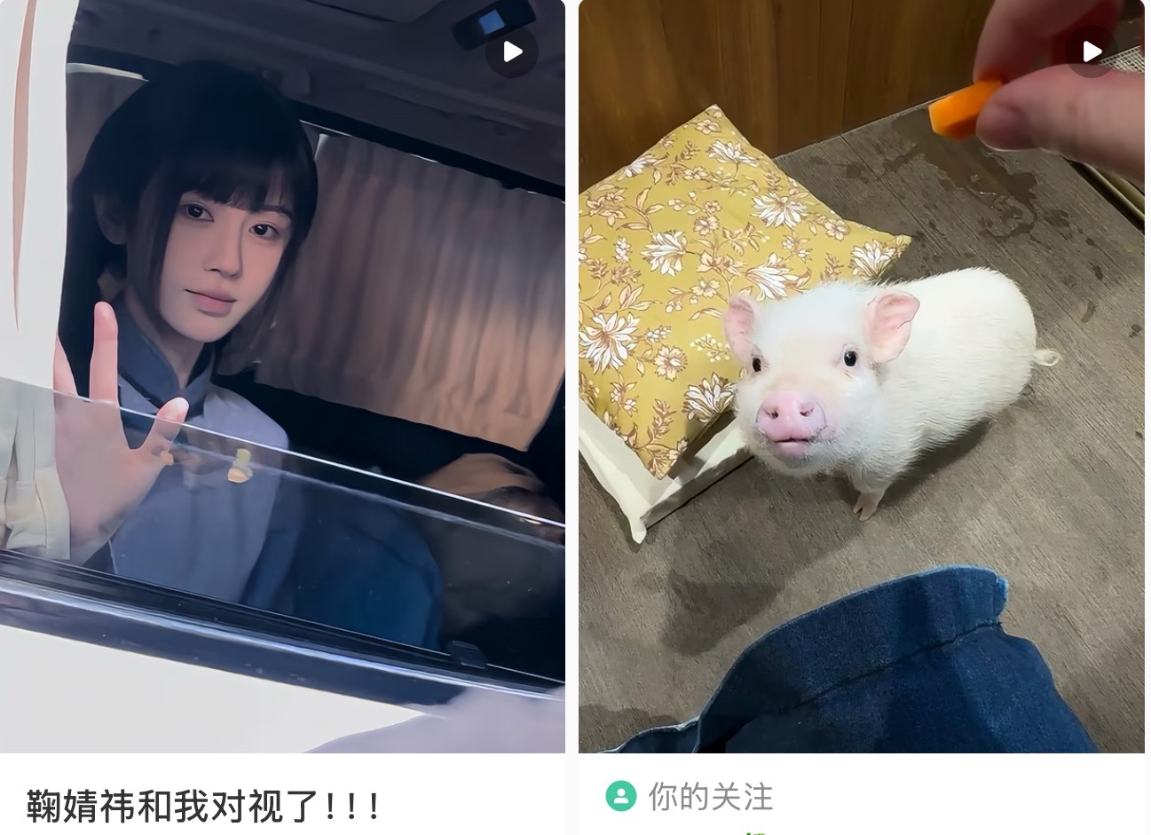 两🐷都对视到了 惊喜排版 又被我代到了