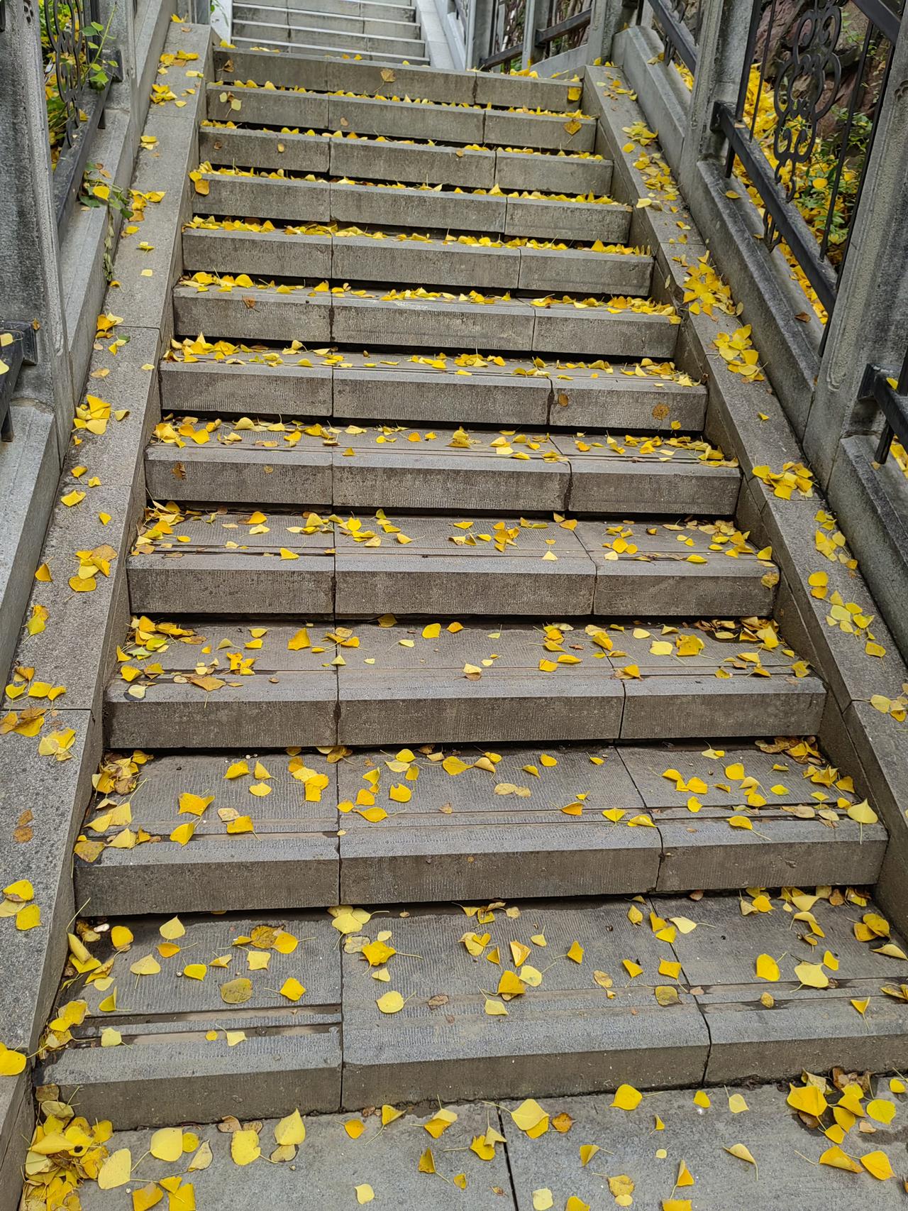 领导最没水平的一句话是什么?对下属赌气的说：要不，你来干这个XX长？
没水平在于