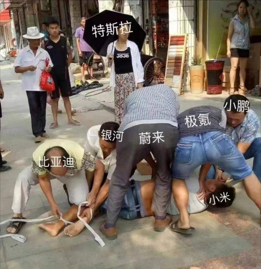 新能源品牌的现状，这图是做的，笑死我了！[哈哈][哈哈] #小米su7# #小米