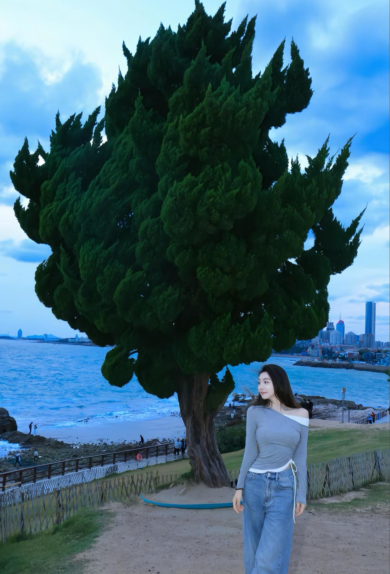 海风吹拂，树影婆娑。