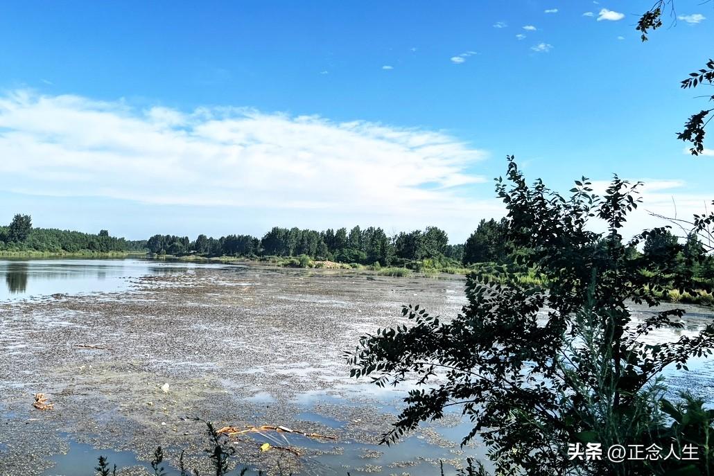 长沙土拍给房企的启示：抛弃全国撒网，深耕本土、聚焦主城才有活路

央企败给本土民