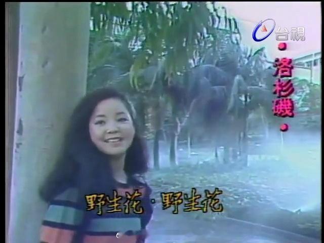 晨光正好，早安🌤️品读林煌坤老师抄录的《野生花》歌词，山野生花，自在从容，温柔