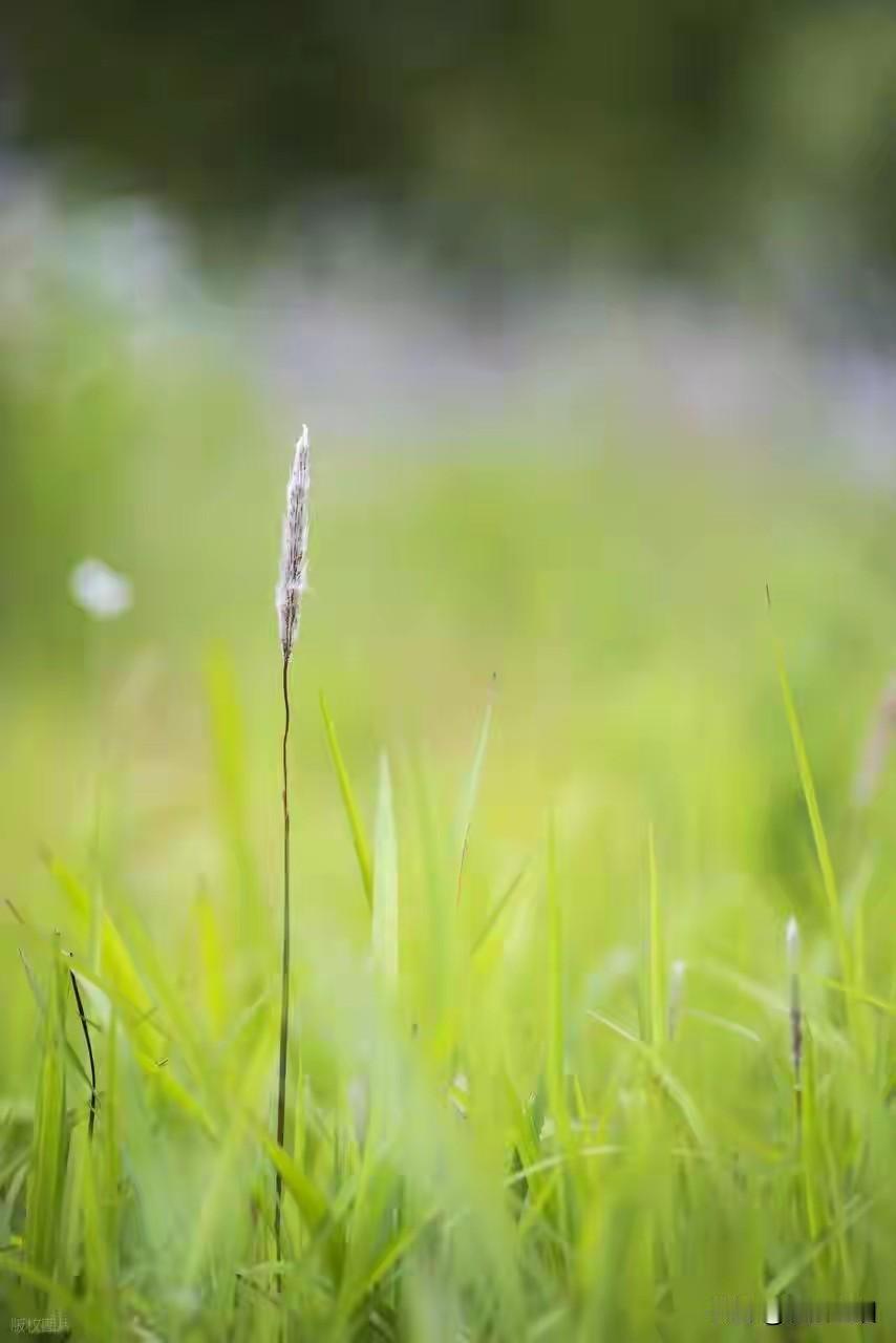 决心改算自己之前，不要告诉任何人，別人看不见就无法摧毁

一个人有很好习惯，值得