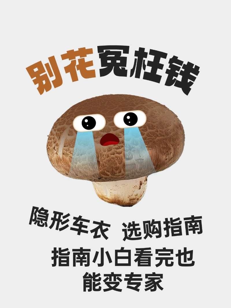 别花冤枉钱！隐形车衣选购指南，小白看完也能变专家【来自懂车帝车友圈】