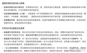 莫奈的画开在了月季上这种月季热了会脱妆莫奈月季不是唯一会在高温下变色的植物。绣球