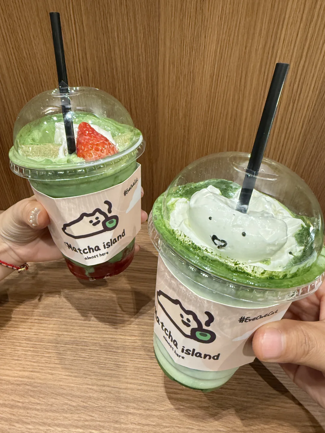 深圳终于有了！！抹茶猫猫岛🍵。。。。。