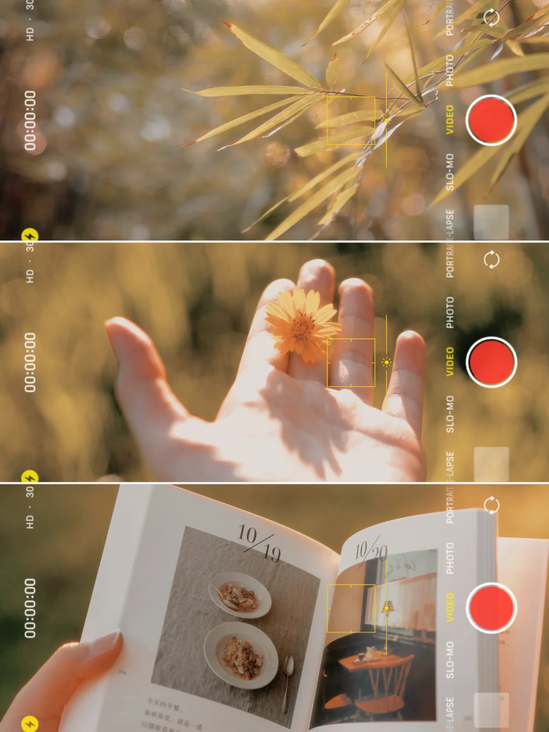 手机调色✨秋天落叶氛围感滤镜🍂拯救废片❗️