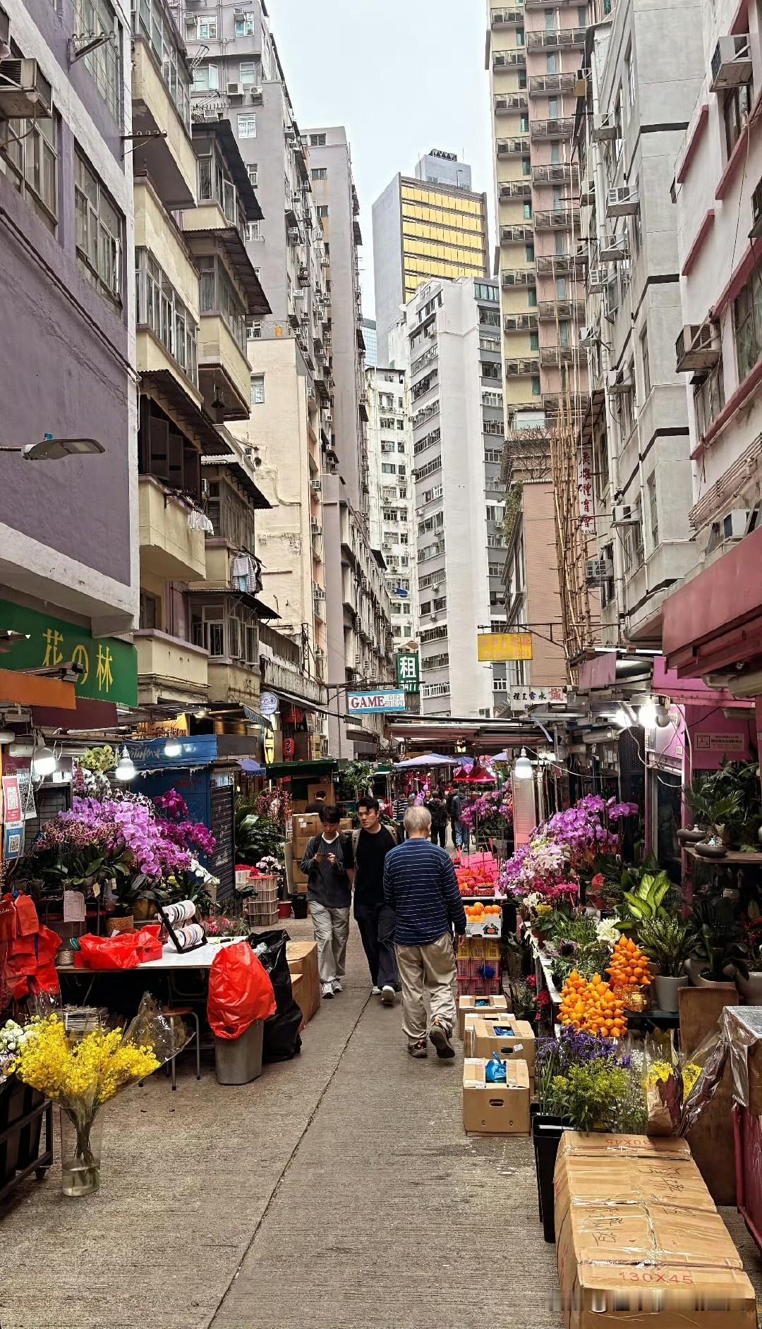 辽篮双外援春节后同时更新行程，哈维更新动态，目前已经抵达中国香港；恕我直言，谨防