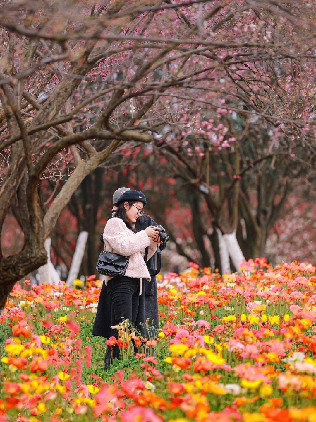 成都拍照🌸｜你可以永远相信春天的植物园~