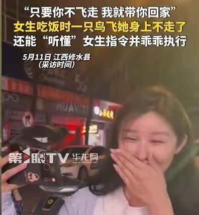 江西一妹子吃饭时触发了“迪士尼在逃公主”技能，有只野鸟直接飞过来停她肩膀上。妹子