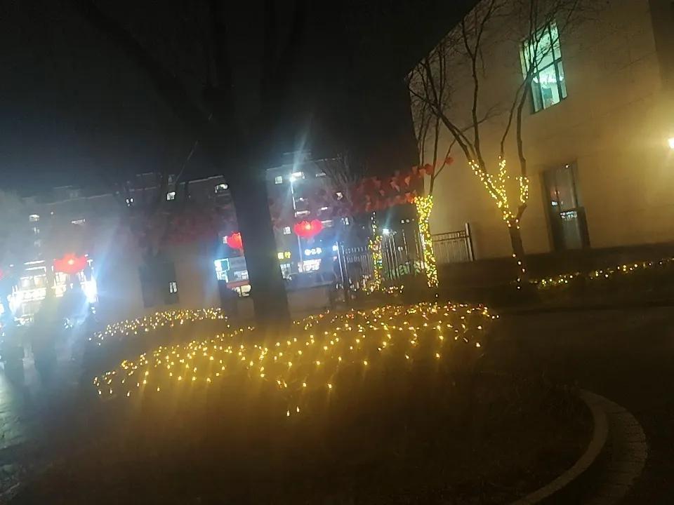 小区的夜色，那是独属于生活的浪漫。晚饭后出门溜达，一抬头就被这夜色惊艳到。
路灯